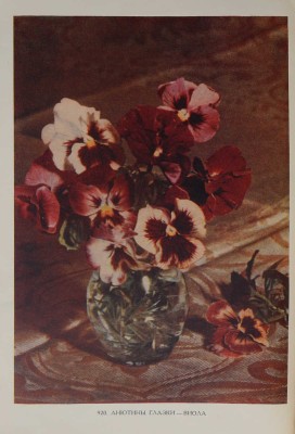 Цветы. Каталог семян / Худож.-оформ. В.Ф. Степанова и В.А. Родченко. М., 1958.
